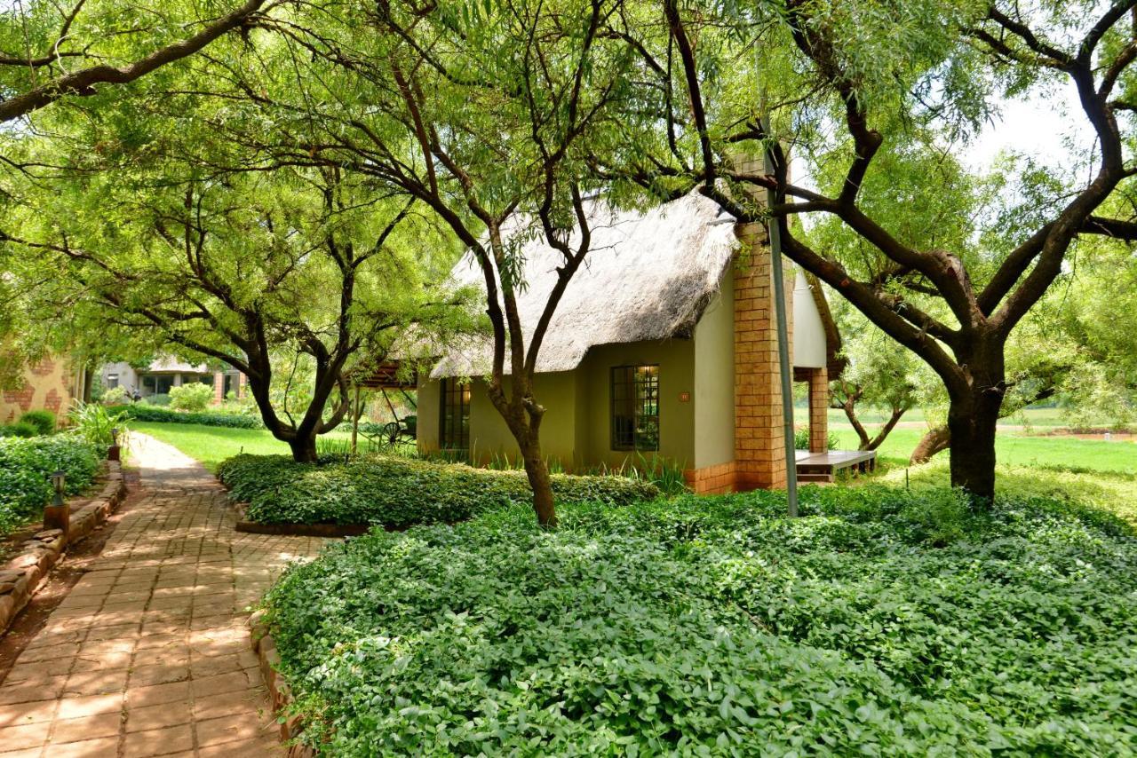 מגליסבורג African Hills Safari Lodge & Spa מראה חיצוני תמונה