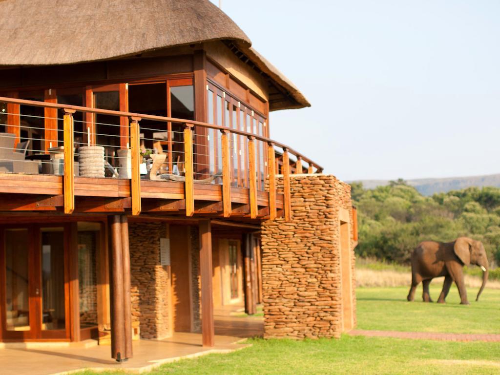 מגליסבורג African Hills Safari Lodge & Spa מראה חיצוני תמונה